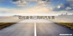 如何查询已购的汽车票