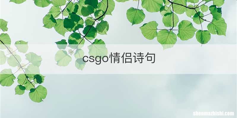 csgo情侣诗句