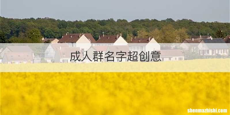 成人群名字超创意