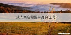 成人商店需要带身份证吗