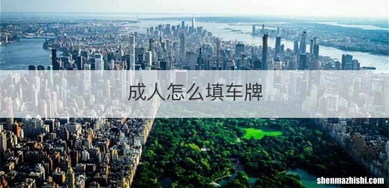 成人怎么填车牌