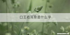 口王右耳旁是什么字