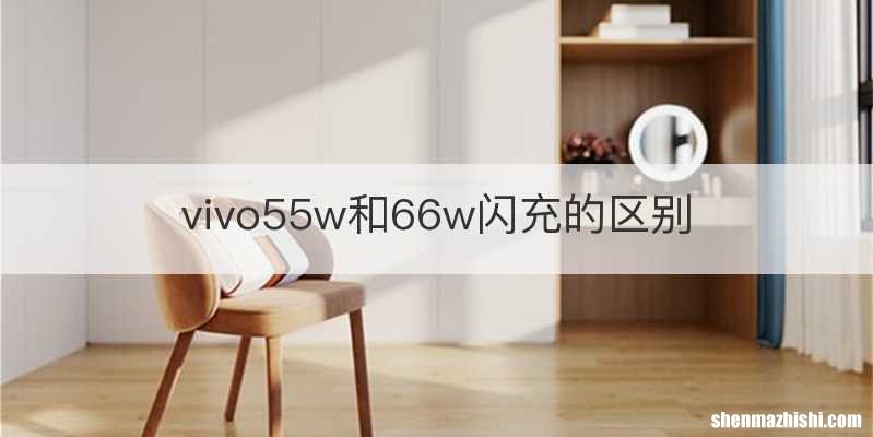 vivo55w和66w闪充的区别