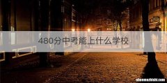 480分中考能上什么学校