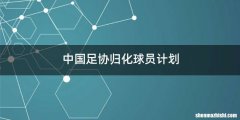 中国足协归化球员计划