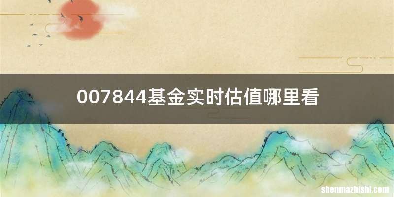 007844基金实时估值哪里看
