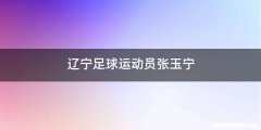 辽宁足球运动员张玉宁