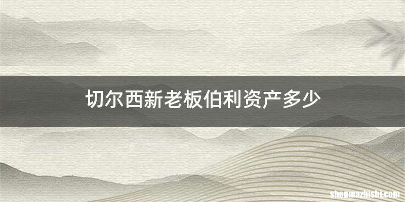 切尔西新老板伯利资产多少