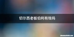 切尔西老板伯利有钱吗