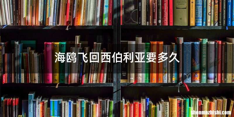 海鸥飞回西伯利亚要多久