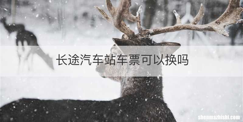 长途汽车站车票可以换吗