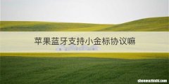 苹果蓝牙支持小金标协议嘛