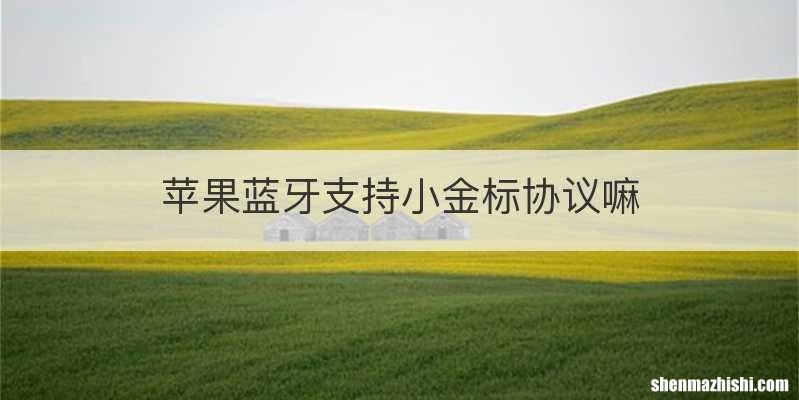 苹果蓝牙支持小金标协议嘛