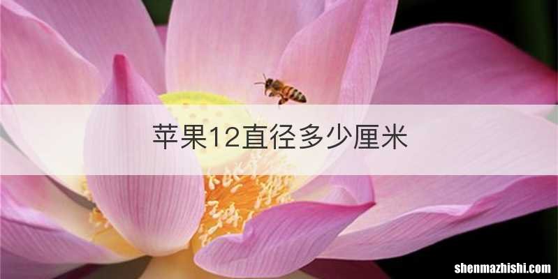 苹果12直径多少厘米