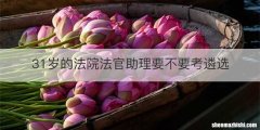 31岁的法院法官助理要不要考遴选