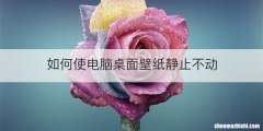 如何使电脑桌面壁纸静止不动