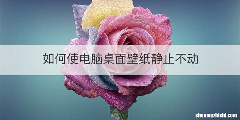 如何使电脑桌面壁纸静止不动