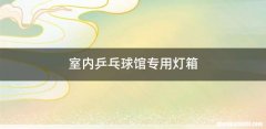 室内乒乓球馆专用灯箱