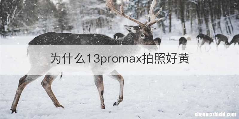 为什么13promax拍照好黄