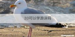 33可以学游泳吗
