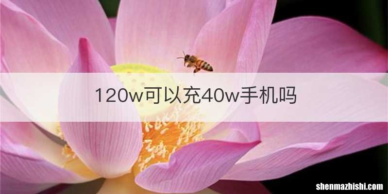 120w可以充40w手机吗