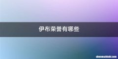伊布荣誉有哪些