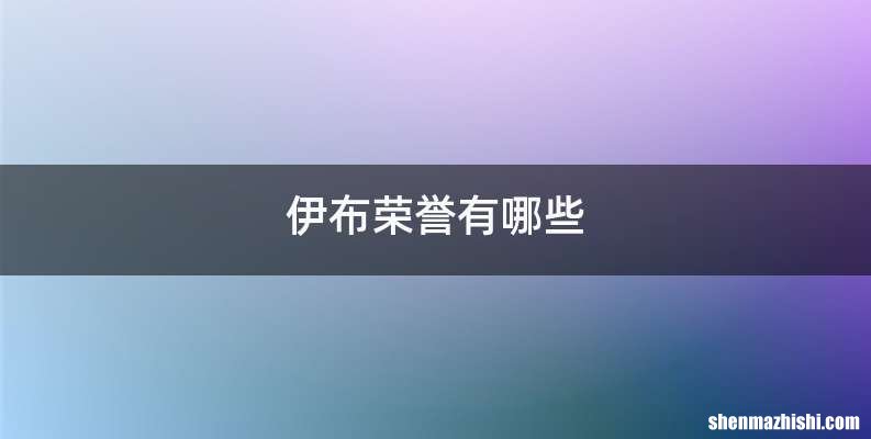 伊布荣誉有哪些