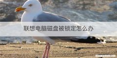 联想电脑磁盘被锁定怎么办