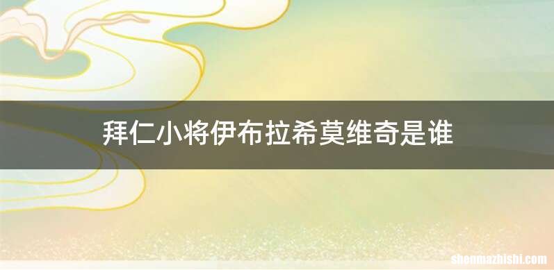 拜仁小将伊布拉希莫维奇是谁