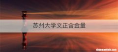 苏州大学文正含金量