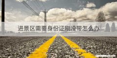 进景区需要身份证刷没带怎么办