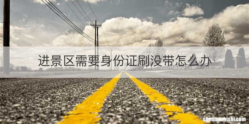 进景区需要身份证刷没带怎么办