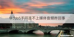 华为b5手环连不上媒体音频咋回事
