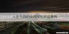 人生不同的抉择排比论证事例