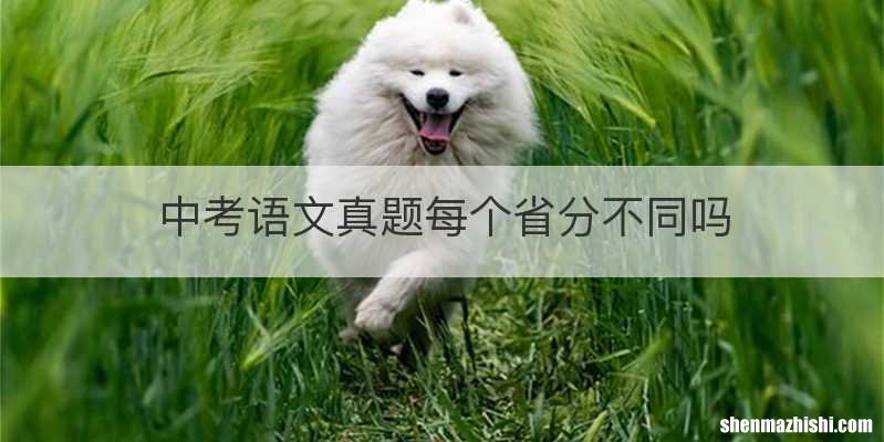 中考语文真题每个省分不同吗