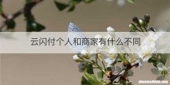 云闪付个人和商家有什么不同