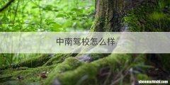 中南驾校怎么样