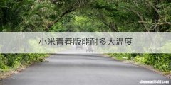 小米青春版能耐多大温度
