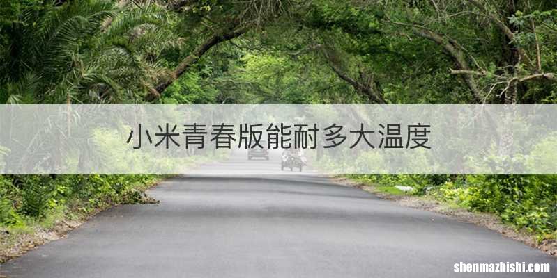 小米青春版能耐多大温度