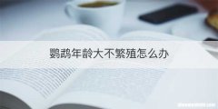 鹦鹉年龄大不繁殖怎么办