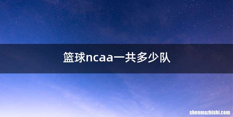 篮球ncaa一共多少队