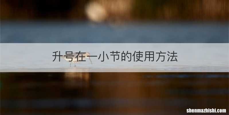 升号在一小节的使用方法
