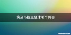 埃及乌拉圭足球哪个厉害
