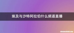 埃及与沙特阿拉伯什么频道直播