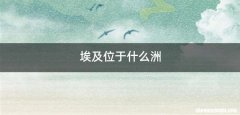 埃及位于什么洲