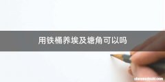 用铁桶养埃及塘角可以吗