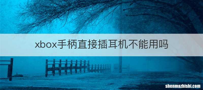 xbox手柄直接插耳机不能用吗