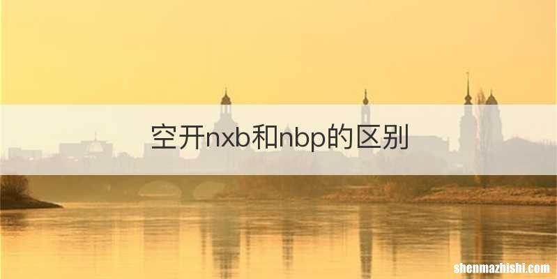 空开nxb和nbp的区别