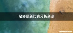 足彩最新比赛分析新浪