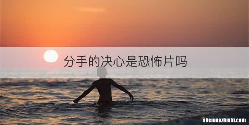 分手的决心是恐怖片吗